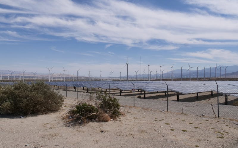 pexels-photo-9800094